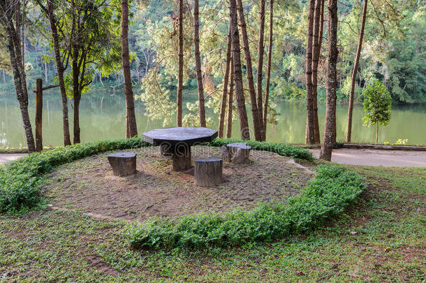 松树林的花园桌椅