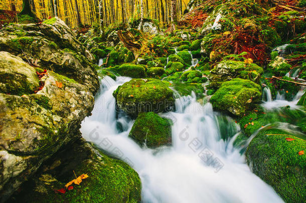 五彩缤纷的秋天森林里小溪的绚丽景象