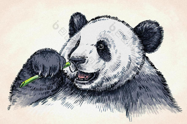 雕刻墨水画熊猫插图