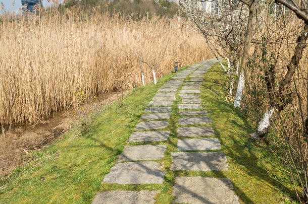 目的地发展方向脚自由