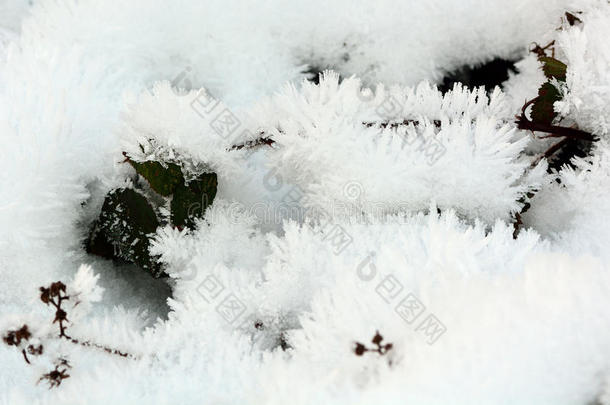 在雪地里蹦蹦跳跳