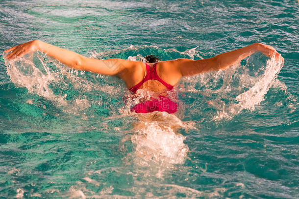 运动员在游泳池游泳蝴蝶游泳技术。