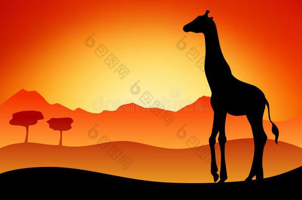 长颈鹿剪影草原景观自然日落日出插图