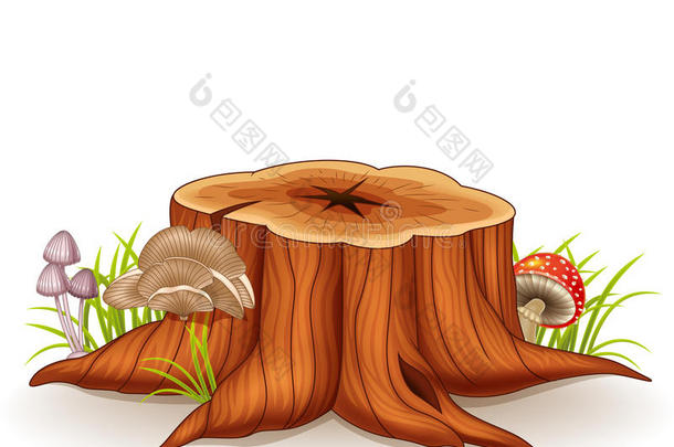 树桩和蘑菇的卡通插图