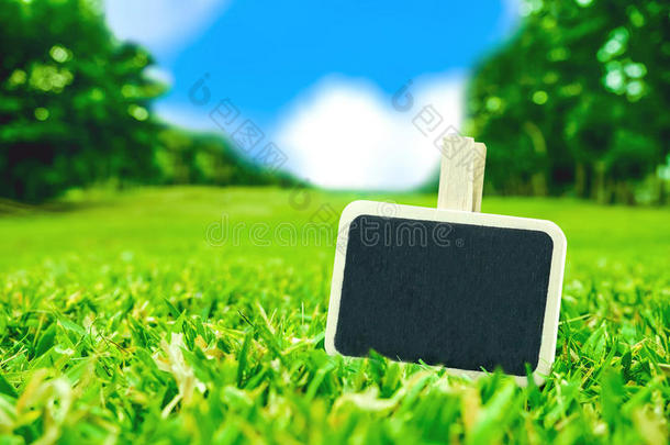 空白黑板剪辑在绿色草地上与模糊的公园背景，春夏时间，留下空间添加您的文本