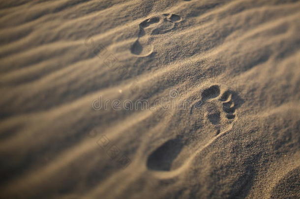 沙丘上人类的脚印。