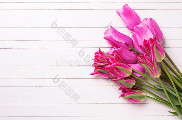 清新的春天粉红色郁金香在白色油漆木木板上。