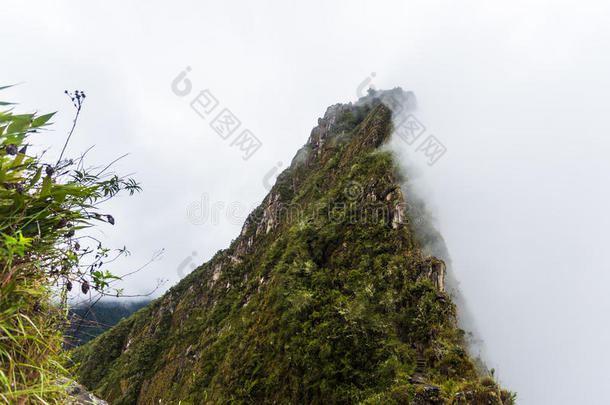 山巅的景色