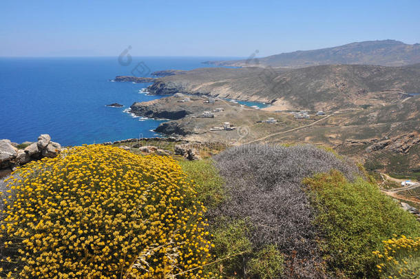 海岸沿海花希腊希腊语