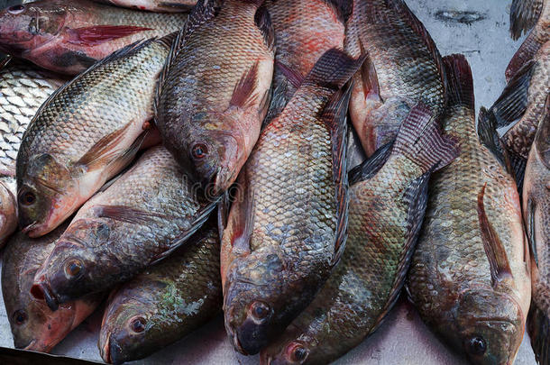 新鲜尼罗河罗非鱼食品正在集市上出售。