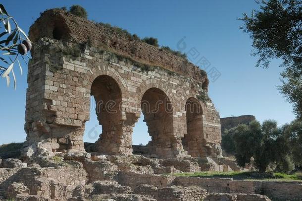 拜占庭城市的古老遗址，<strong>命名</strong>为特拉利斯与橄榄树，艾丁，土耳其。 4k。
