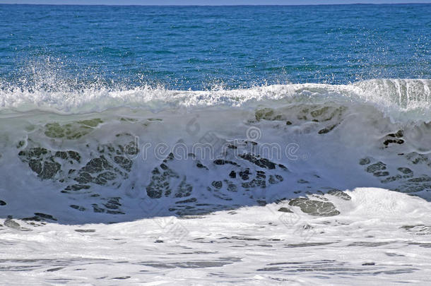 加里<strong>福利</strong>亚州拉古纳海滩主海滩上的格纳利波。