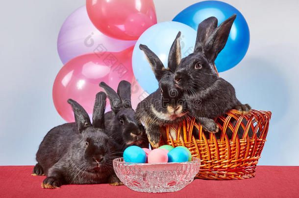 四只兔子在气球背景上靠近复活节彩蛋