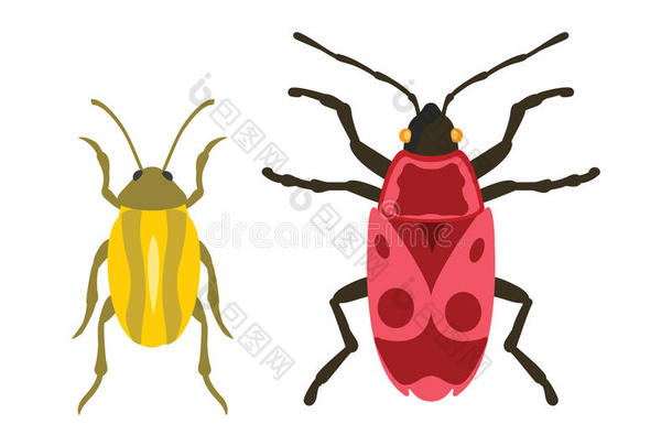 卡通风格矢量中的甲虫扁平昆虫