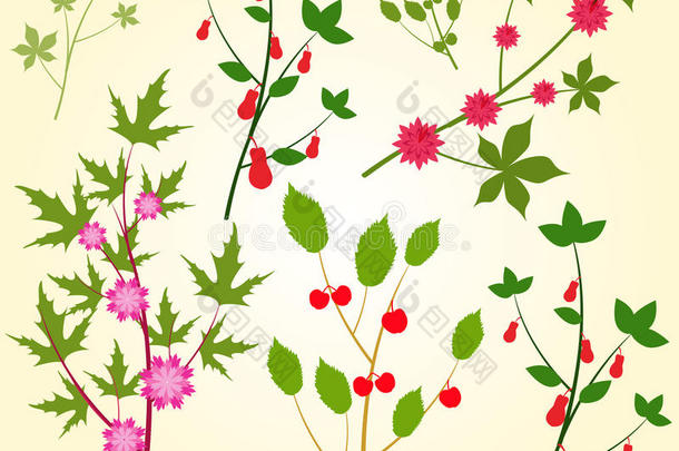 五颜六色的花卉收藏与树叶和鲜花春季或夏季设计的邀请，婚礼或贺卡