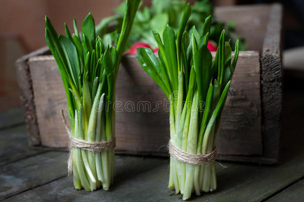 新鲜拉姆森叶，春季<strong>天然草本</strong>植物，乡村风格