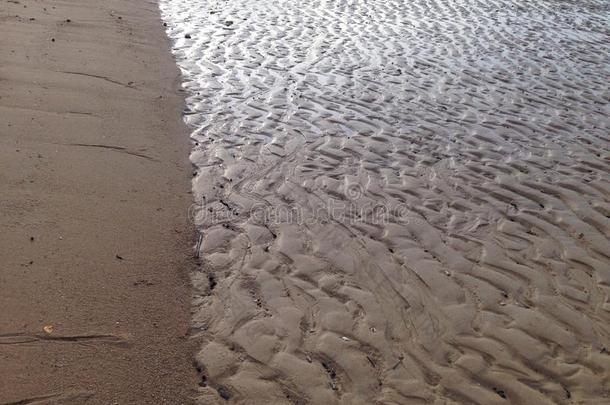 沥青海滩关闭地质学泥滩