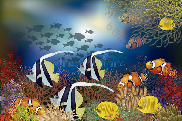 动物水水族馆水生的环礁
