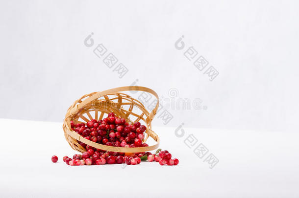 蔓越莓在柳条篮子上的白色背景