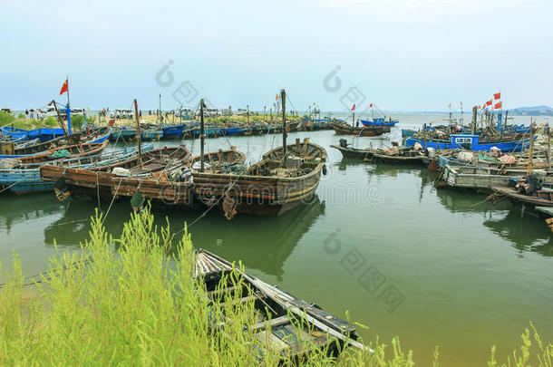 亚洲海湾北戴河船瓷器