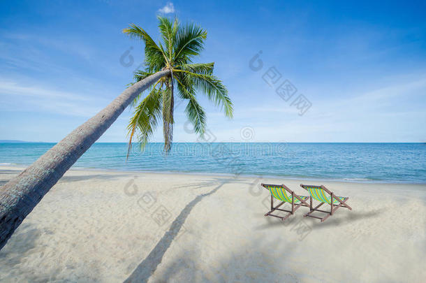 椰子树和两个甲板椅热带豪华海滩夏季天堂的概念