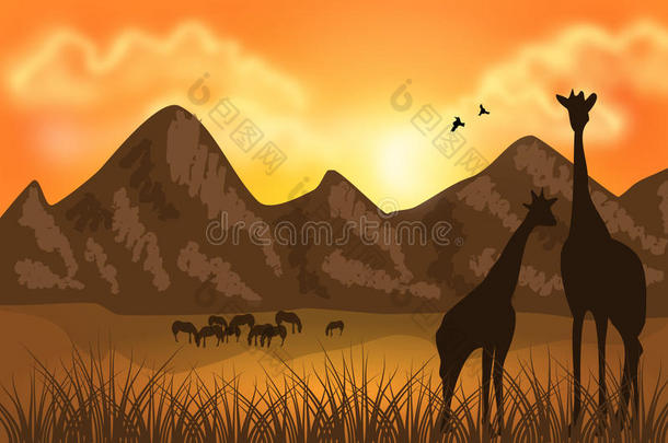 非洲景观插图