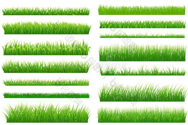 绿色的草边。 绿草收藏品