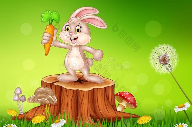 可爱的兔子拿着胡萝卜在树桩在夏天的季节背景