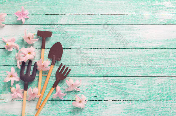 花园工具和嫩粉色的花在绿松石上画的宇