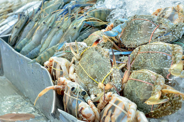 海鲜市场上的新鲜螃蟹和虾