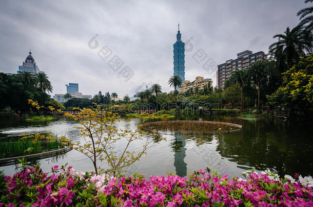 花，湖，台北101在中山公园，在信义迪