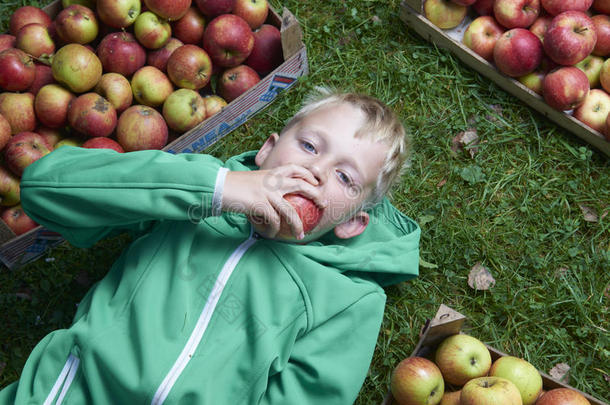 一个金发男孩躺在绿色的草地上，拿着苹果，吃着，咬着苹果