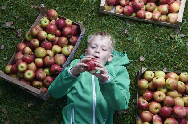 一个金发男孩躺在绿色的草地上，拿着苹果，吃着，咬着苹果
