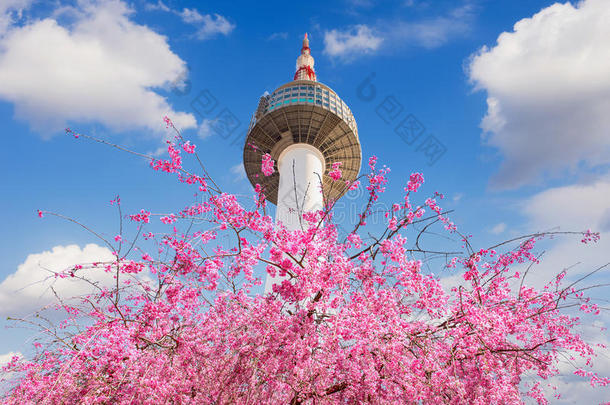 和四月背景美丽的开花