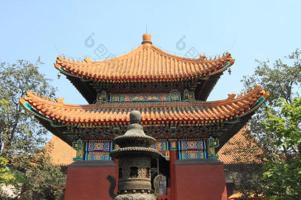 建筑学北京瓷器中国人孔子