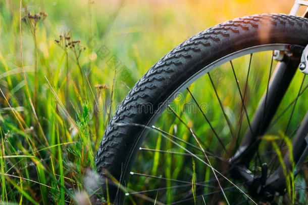 自行车轮在夏季绿草草草甸场。 日落日出