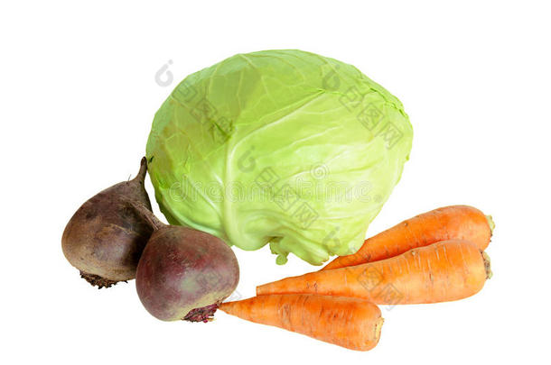 分离新鲜蔬菜卷心菜、甜菜根和胡萝卜