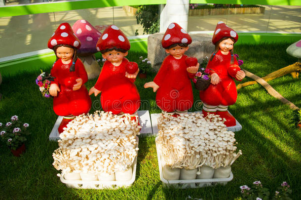 亚洲中国，北京，农业嘉年华，现代建筑，室内展厅，蘑菇帽，娃娃，新鲜蘑菇