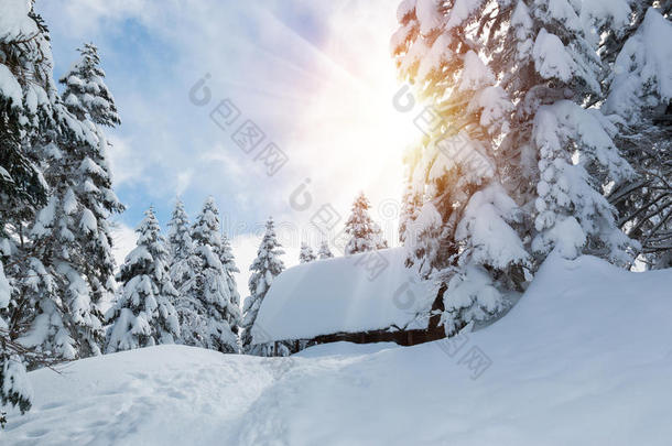 美丽的冬天雪覆盖了降雪区的树木和小茅屋