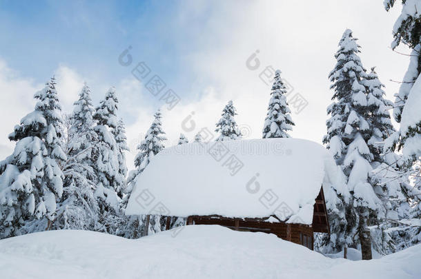 美丽的冬天雪覆盖了降雪区的树木和小茅屋