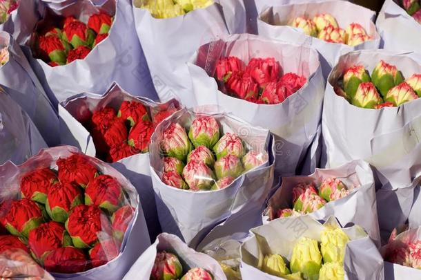 康乃馨束或花束出售，香港花卉市场