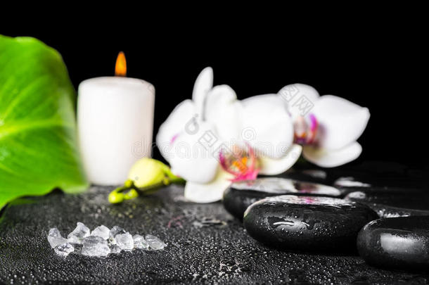 美丽的温泉设置海盐，黑色禅宗石，白兰花，蝴蝶兰，绿叶与露水和蜡烛，关闭