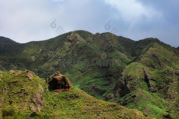 美丽的特纳里夫景观-阿纳加山