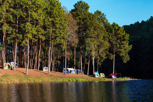 圆顶帐篷附近的湖泊和松树在露营地点在庞格