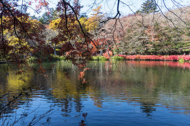 日本卡米科奇国家公园秋季季节