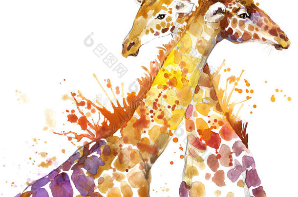 长颈鹿。 长颈鹿插图水彩画