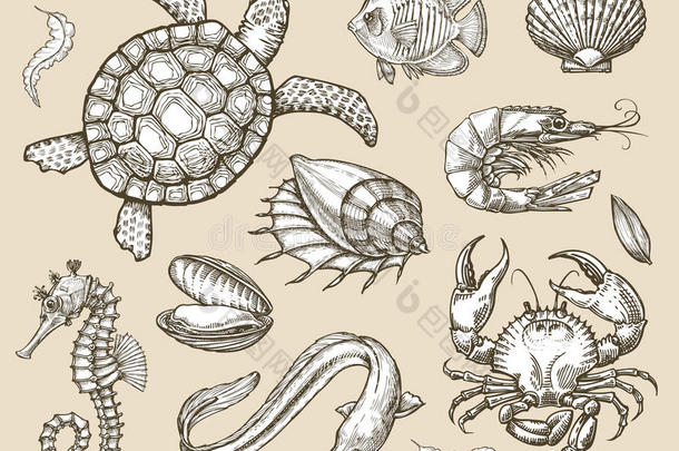 手绘草图一套海鲜，海洋动物。 矢量插图