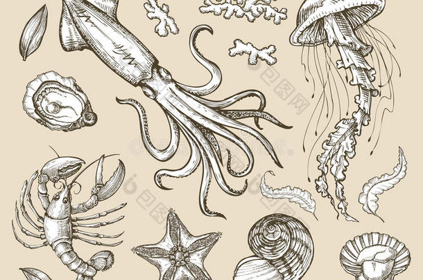 手绘素描集海鲜，海洋动物。 矢量插图