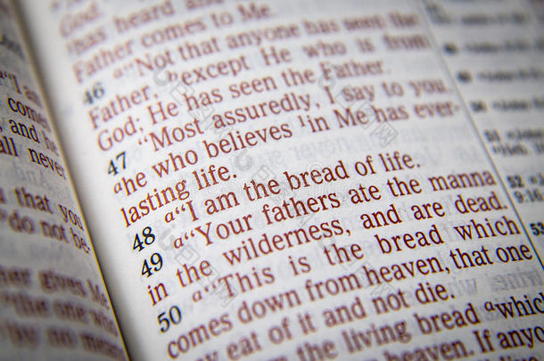 圣经文本-我是生命的面包-约翰6：48