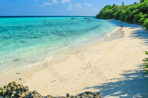 阿斯杜环礁背景巴厘岛海湾